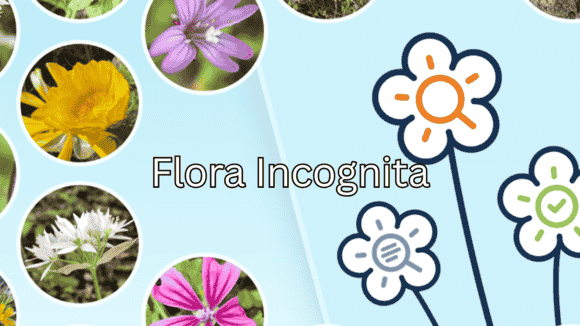 com.floraincognita.app.floraincognita
