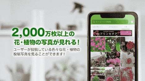 jp.co.aainc.greensnap