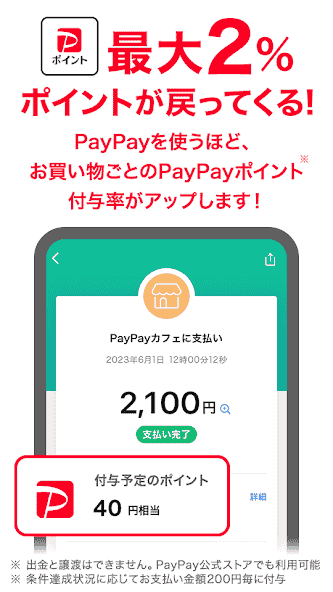 jp.ne.paypay.android.app