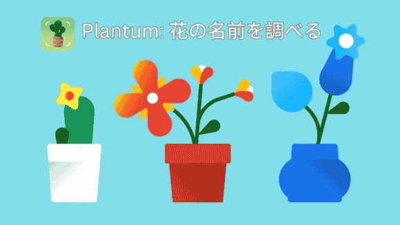 plant.identification.flower.tree.leaf.identifier.identify.cat.dog.breed.nature